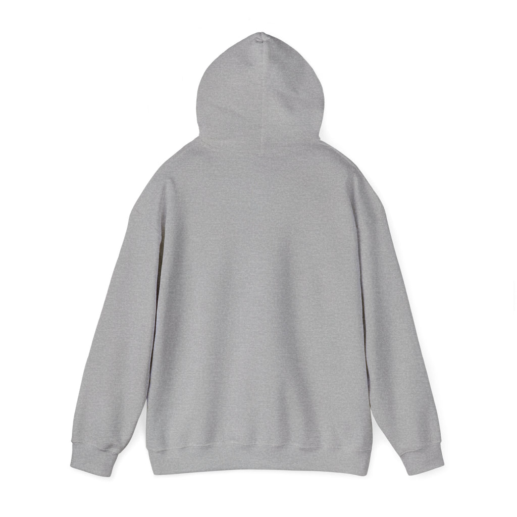 Disc Golf Man Throwing Hoodie