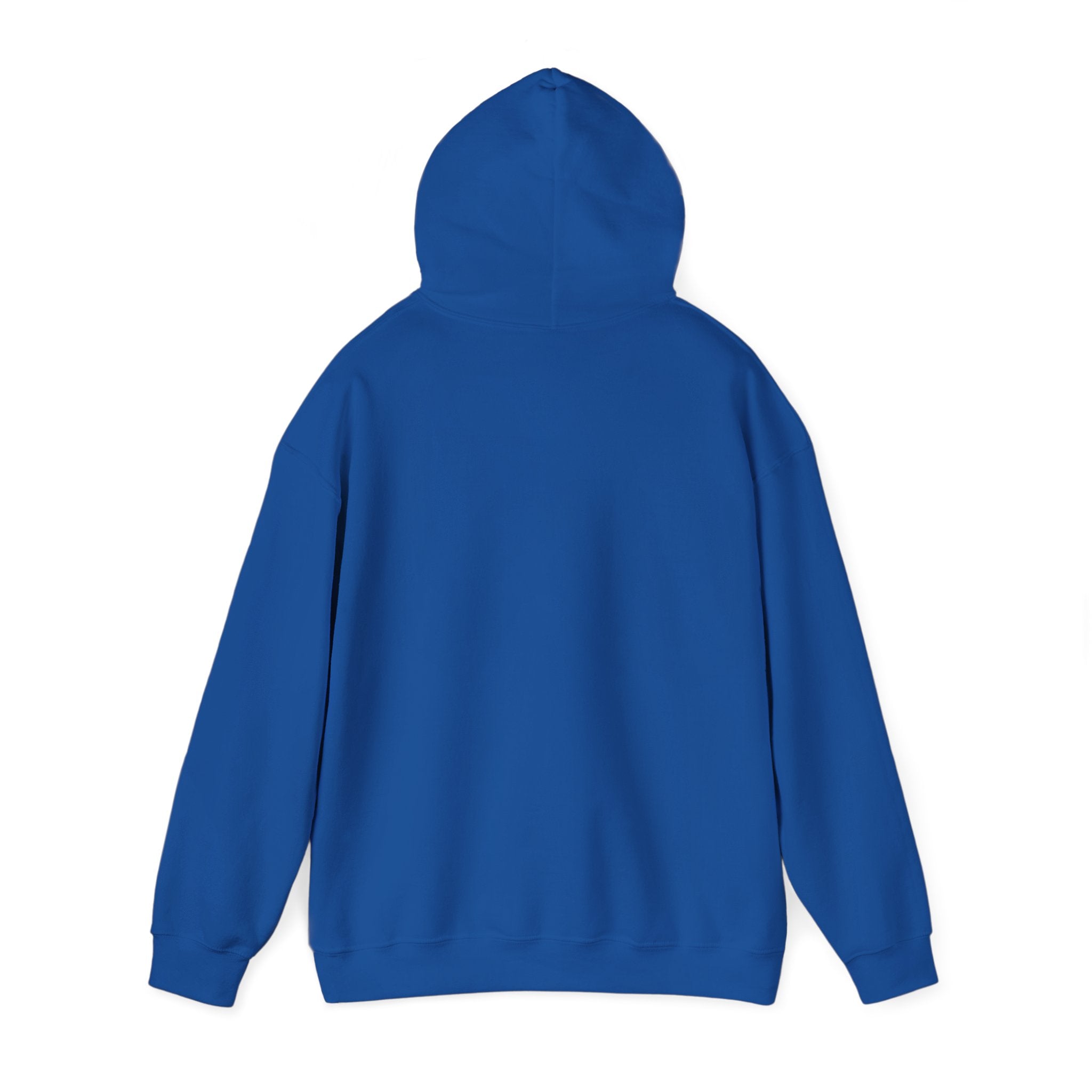 Disc Golf Man Throwing Hoodie