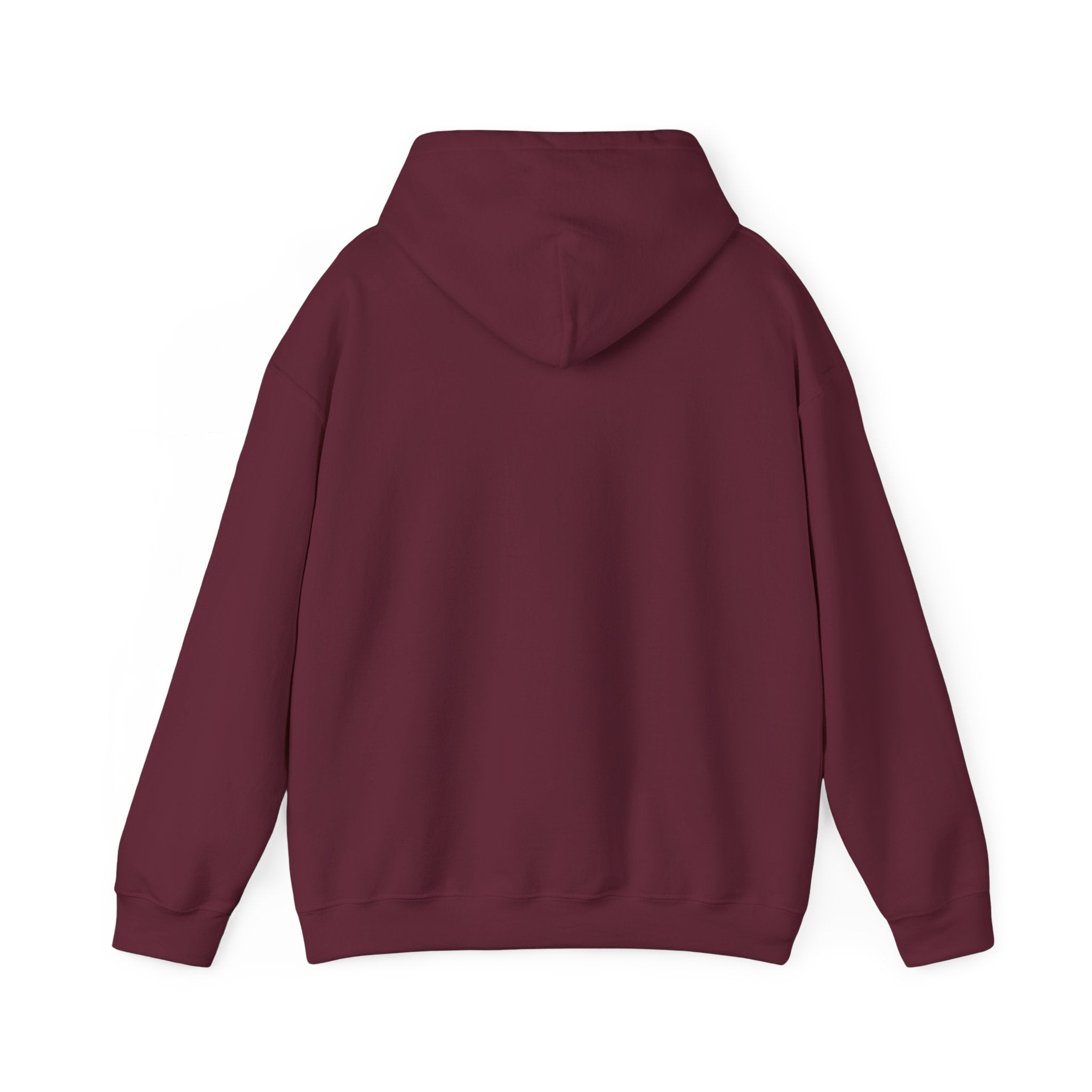 Disc Golf Man Throwing Hoodie