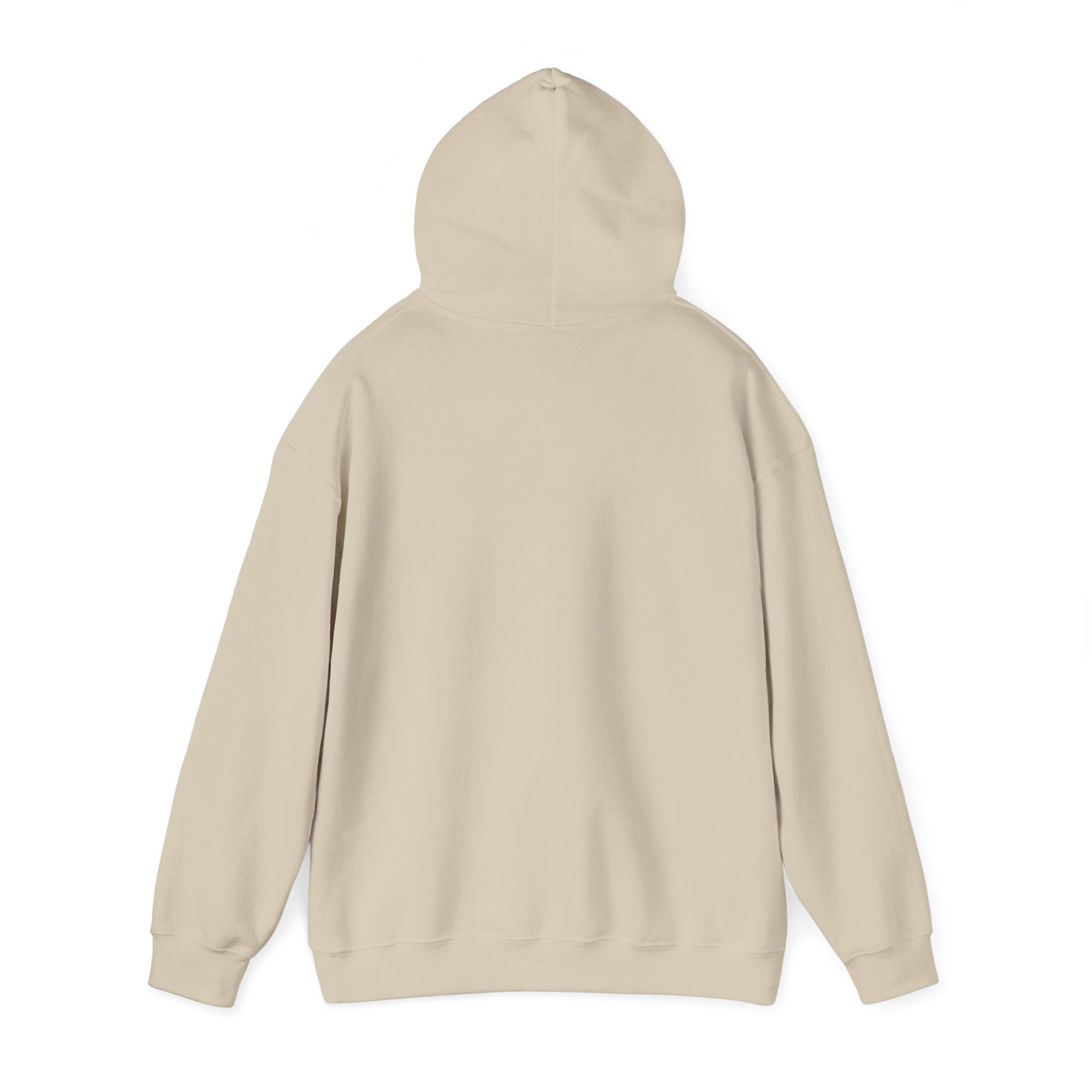 Big Analogies Guy Hoodie