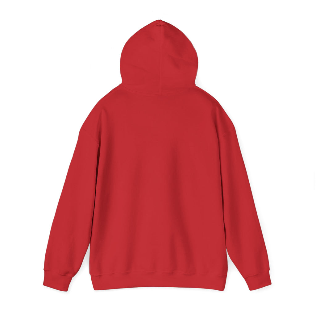 Big Analogies Guy Hoodie